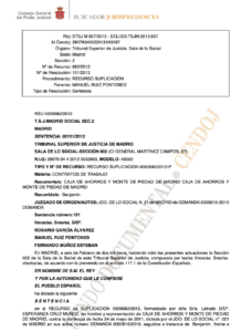 STSJ M 957/2013