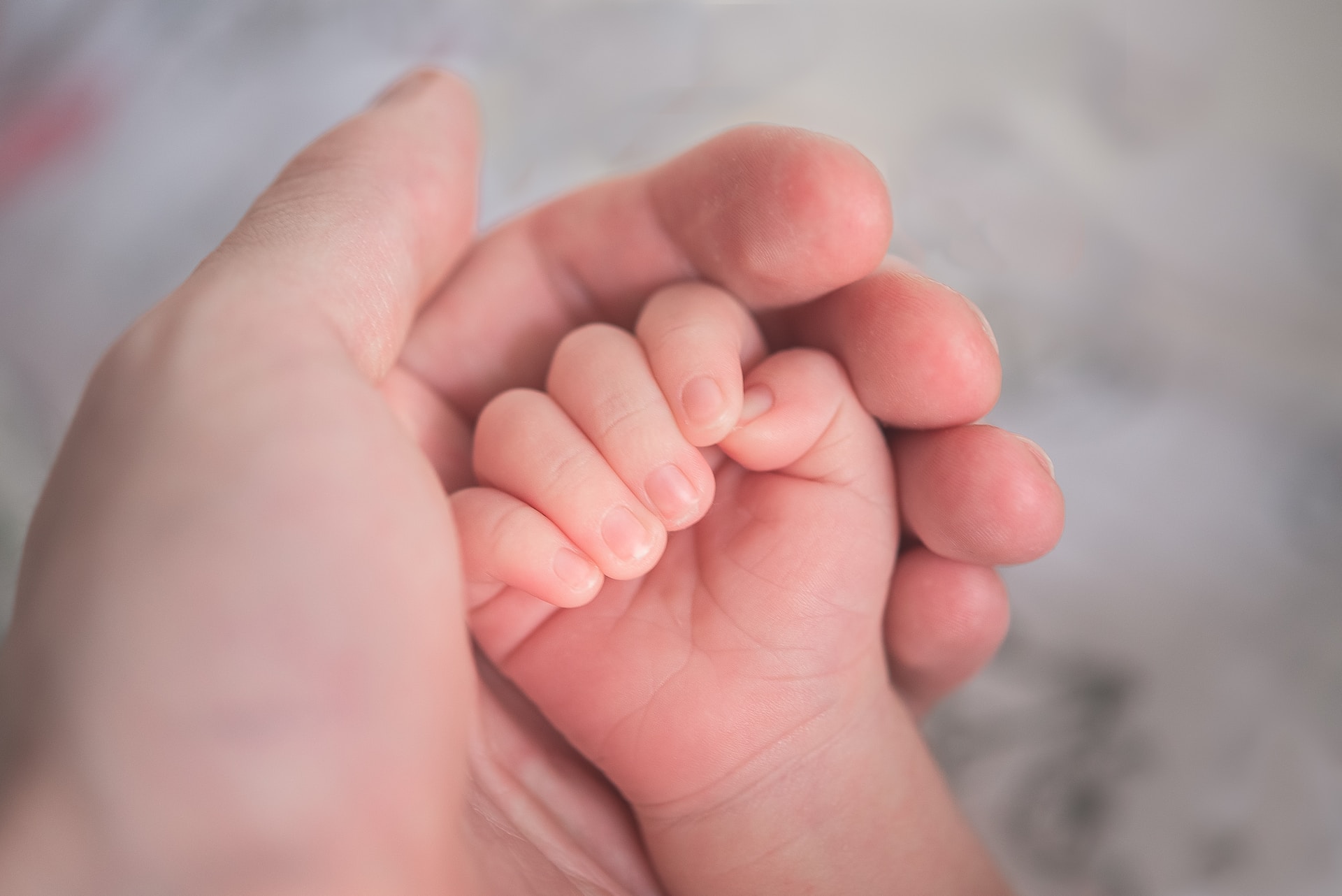 prestacion por maternidad